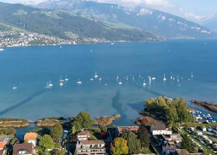 Lägenhet Bright In Thun, 50m To Free Parking Thun