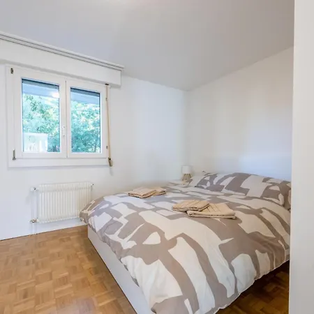 Apartment Bright In Thun, 50m To Free Parking